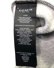 Load image into Gallery viewer, Coach Pullover Hoodie in Heather Grey (2023)