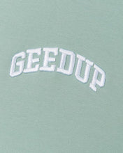 Load image into Gallery viewer, Geedup Micro Team Logo Hoodie in Pistachio (2024)