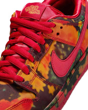 Load image into Gallery viewer, Nike SB x Wizard of Oz Dunk Low Pro 'Poppy Field' (2024) - Bisy Clothing