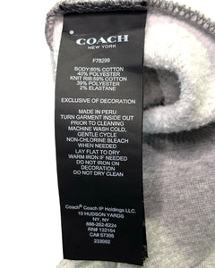 Coach Pullover Hoodie in Heather Grey (2023)