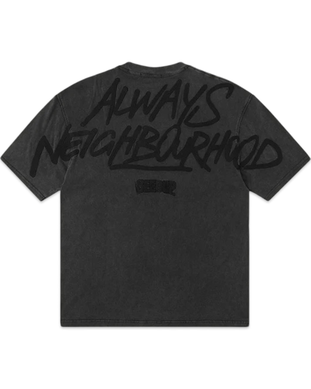 Geedup Always Neighbourhood T-Shirt in Vintage Washed Black (2024)