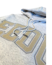 Load image into Gallery viewer, Geedup Team Logo Hoodie Wheat Marle and Wheat (2023) *
