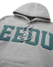 Load image into Gallery viewer, Geedup Team Logo Hoodie in Grey in Aqua Green (2022)