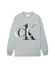 Load image into Gallery viewer, Calvin Klein x Palace CK1 Crewneck Long Sleeve Quarry ⏐ Size L