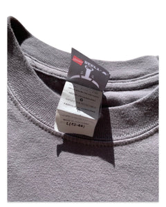 APPLE Size L Vintage Official Logo T-Shirt Hanes Beefy T-Shirt 131022 - Bisy Clothing