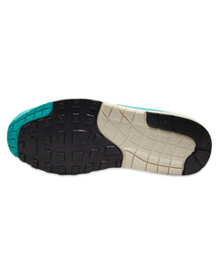 Nike Air Max 1 in Dusty Cactus (W) - Bisy Clothing