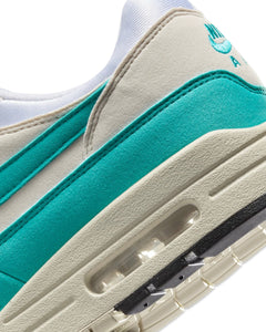 Nike Air Max 1 in Dusty Cactus (W) - Bisy Clothing