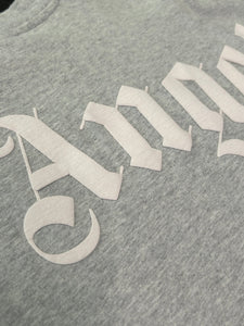 Palm Angels Classic Logo Over T-Shirt in Grey (2022) - Bisy Clothing