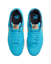 Load image into Gallery viewer, Nike Air Max 1 PRM Corduroy Baltic Blue