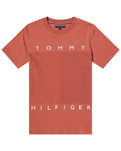 Load image into Gallery viewer, Tommy Hilfiger Mono Flag Short Sleeve Tee in Dusty Copper